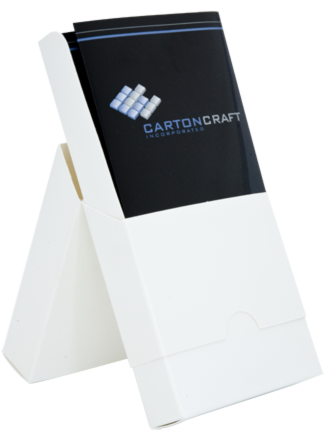CartonCraft Pamplet Holder